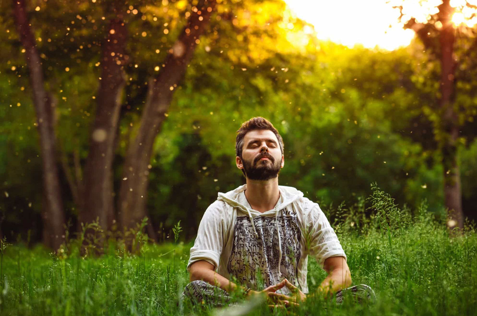 Análisis Bioenergético